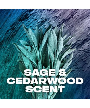 AXE Apollo Deodorant Spray 48 Hour Odor Protection Fresh Sage and Cedarwood 4oz Pack of 4 | Aluminum-Free, Residue-Free - Buy Online on GoSupps.com