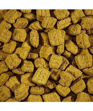 Kaytee Forti-Diet Pro Health Biscuit Treat for Large Hookbills - 10oz (1 Pack) - Buy Online on GoSupps.com