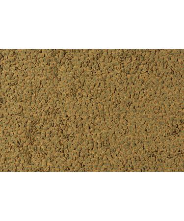Tetra Pleco Veggie Wafers Fish Food Complete Fish Food for Herbivorous Bottom-Feeding Fish 42 g - Buy Online on GoSupps.com