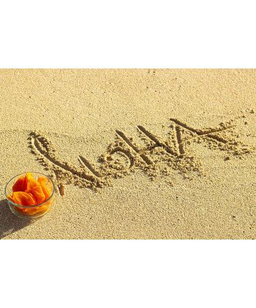 Aloha Right Now Premium Dried Li Hing Mango Slices - Hawaiian Fruit Snack with Li Hing Mui Powder | 1 lb 16 oz Pack - Buy Online on GoSupps.com