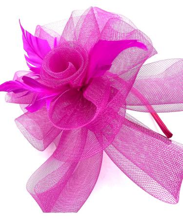 Hot Pink Fascinator Ladies Feather Beak Clip Fascinator / Headband Weddings Races Royal Ascot Hair Piece - Buy Online on GoSupps.com