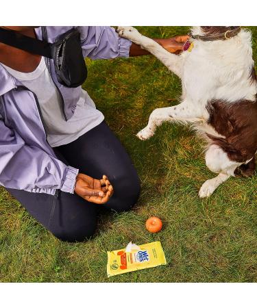 Wet Ones Antibacterial Hand Wipes Tropical Splash - 20 ct. Travel Size Wipes in Travel Case - Buy Online on GoSupps.com