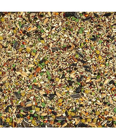 Kaytee Fiesta Garden Veggie Treat Mix for Cockatiels - 10 oz (1 Pack) - Buy Online on GoSupps.com