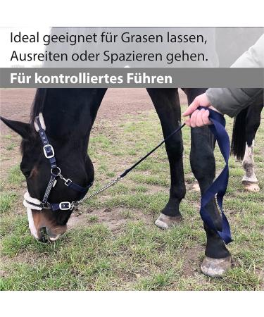 Guide for Horses - Safe Iron Chain & Nylon Handle | 2.10m Length for Stallion Dogs Ponies & Donkeys - Dark Blue - Buy Online on GoSupps.com