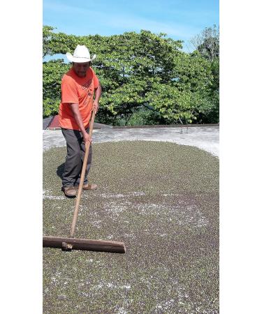 LaProve New Spices from Mexico alias Jamaicaanse Pepper from Cloud Forests 200 g - Buy Online on GoSupps.com