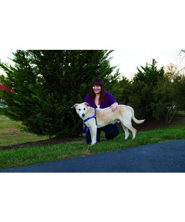 PetSafe Easy Walk No-Pull Dog Harness, Black/Silver, M/L - Buy Online on GoSupps.com