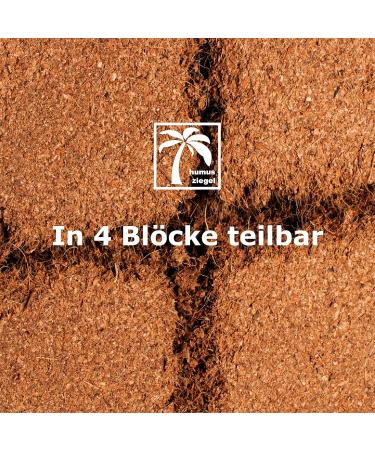 Humus Brick - 70L Coconut Litter for Reptiles | Eco-Friendly Terrarium Substrate & Turtle Bedding - Buy Online on GoSupps.com