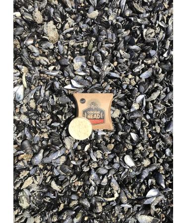 Osborne Head Shampoo (Coconut) - Buy Online on GoSupps.com