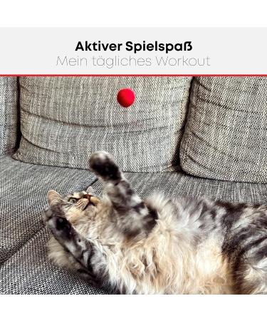 St.Pawly Filzis - 100% Sheep Wool Cat Toys | Sustainable & Interactive Filzballs for Cats | Eco-Friendly Cat Fun - Buy Online on GoSupps.com