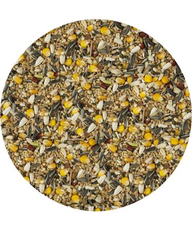 VITAKRAFT Menu Parrots Premium Bird Food - 3 kg freshness bag - Buy Online on GoSupps.com