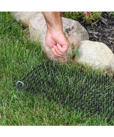 Tapix Cat Scat Mat - Anti-cat Deterrent with Spikes | Indoor/Outdoor Digging Stopper | 8ft x 12in - Buy Online on GoSupps.com