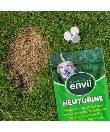 Envii Neuturine Natural Dog Urine Neutraliser Tablets for Grass Lawn Repair & Pet Safe (12 Count) - Buy Online on GoSupps.com