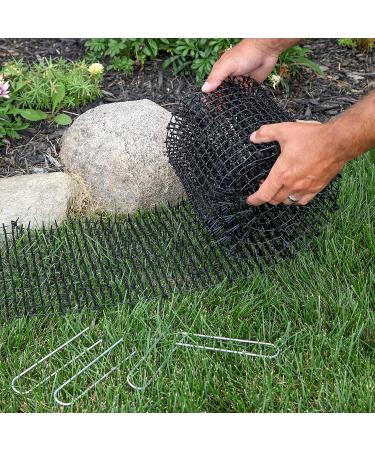 Tapix Cat Scat Mat - Anti-cat Deterrent with Spikes | Indoor/Outdoor Digging Stopper | 8ft x 12in - Buy Online on GoSupps.com