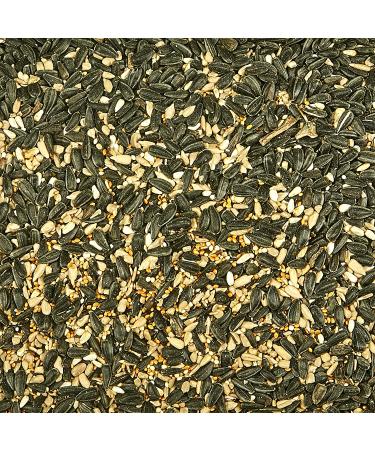 Kaytee Midwest Regional Wild Bird Blend 7lb Bag - Premium Wild Bird Seed Blend for Regional Bird Species - Buy Online on GoSupps.com