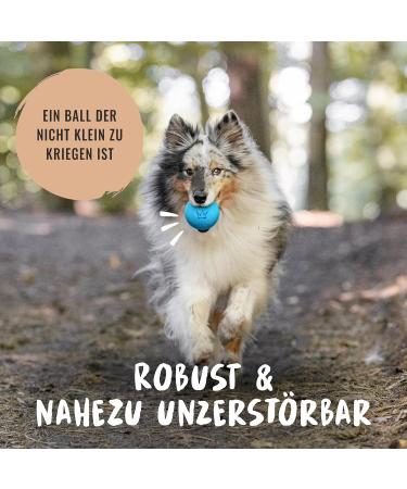 Rudelk nig Indestructible Dog Ball - Natural Rubber 6.5cm Blue - Perfect Toy for Dogs | Shop Internationally - Buy Online on GoSupps.com