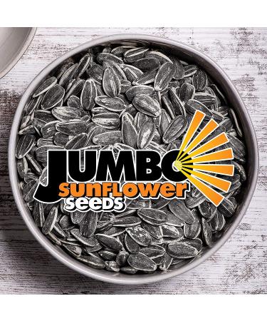 JUMBO SUNFLOWER SEEDS Mega No Salt 5.5 oz (Pack of 12) - Premium Quality, Salt-Free Snacking Solution - Buy Online on GoSupps.com