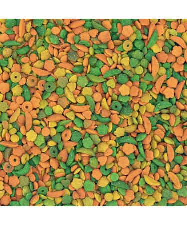 Versele-Laga NutriBird P15 Tropical Pellets 3kg - Multi-Coloured Parrot Food for Maintenance - International Shipping Available - Buy Online on GoSupps.com