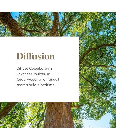 Copaiba Essential Oil by Young Living 15 Milliliters Topical and Aromatic - Buy Online on GoSupps.com