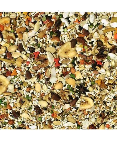 Volkman Avian Science Super African Grey Bird Food 3.99 lb - Premium Blend for Health & Nutrition - Buy Online on GoSupps.com