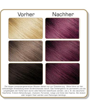 Smart Beauty Plum Blue Permanent Hair Color - Vegan PPD-Free Salon Quality with Smart Plex Protection - Buy Online on GoSupps.com