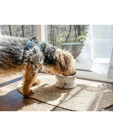 Y YHY Raised Ceramic Cat Food Bowl - 15oz Elevated Pet Water Bowl - No Spill, Dishwasher Safe White - Buy Online on GoSupps.com
