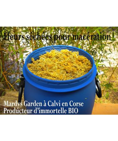 Organic Immortelle Oil from Corsica 100ml | Soothing Helichrysum Italicum Essential Oil - Buy Online on GoSupps.com