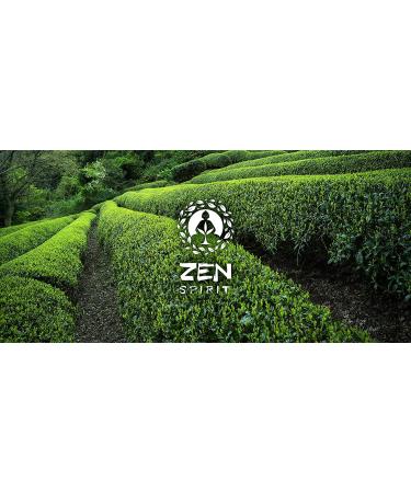 Organic Culinary Grade Matcha Green Tea Powder - USDA & Vegan Certified - 100g (3.52 oz) - Ideal for Baking, Smoothies, Latte & Iced Tea - Premium Japanese Matcha Powder - Buy Online on GoSupps.com