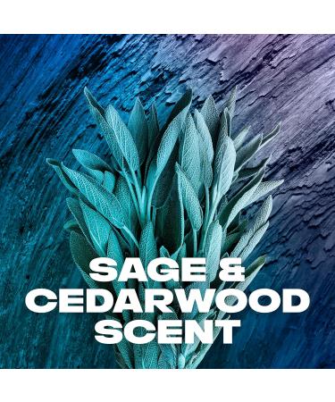 AXE 2-in-1 Shampoo & Conditioner Apollo - Clean & Strong Hair Sage & Cedarwood 100% Recycled Bottle 28 oz | International Shipping - Buy Online on GoSupps.com