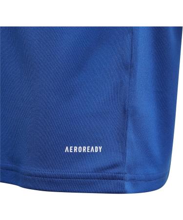 Adidas Boys Squad 21 JSY Y T-Shirt - 128 Royblu/White | International Shipping Available - Buy Online on GoSupps.com
