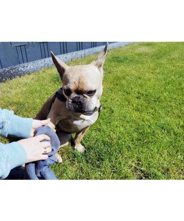 GLART 4485 Soft & Absorbent Microfiber Dog Towel - 80x55 cm | Perfect for Car & Household | High Water Absorption for Pets - Buy Online on GoSupps.com