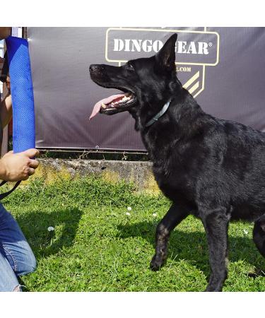 Dingo Gear Cotton Nylon Bite Sausage for Dog Training - 45x8 cm Dual Handles Red | IGP IPO Obedience & Protection Sport - Buy Online on GoSupps.com