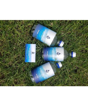 Natural Alkaline Water 473ML (473ML) - Buy Online on GoSupps.com