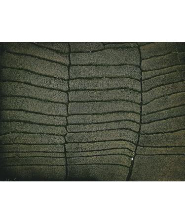 Dethlefsen Balk teemando 1 kg fruit tea mix girls night popcorncranberrynut flavored - Buy Online on GoSupps.com