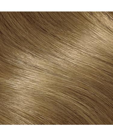 Clairol Nice n Easy Ultra Lift 11CC Cool Blonde - Premium Hair Color Kit for Radiant Long-lasting Blondes | Shop Internationally - Buy Online on GoSupps.com