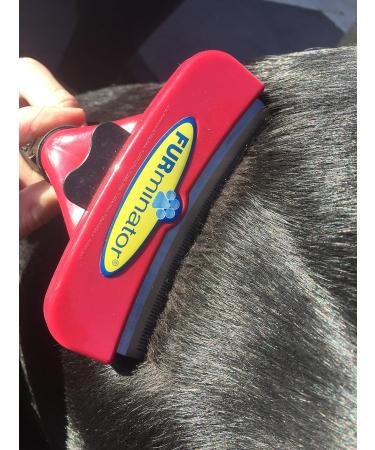 FURminator FURflex Grooming Brush for Large Dogs | DeShedding Attachment for Undercoat Removal | Size L - Best International Shipping - Buy Online on GoSupps.com