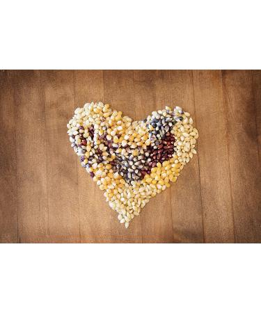 Amish Country Popcorn - 10 Variety Gift Set Bundle (1 lb each) - Red, Blue, White, Purple, Ladyfinger, Rainbow, Yellow, Mushroom - Premium Kernels for Perfect Snacking - Buy Online on GoSupps.com