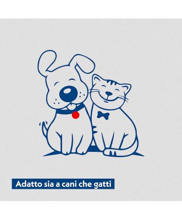 Biodegradable Cotton Swabs Velvet x 200 | Eco-Friendly Sustainable Clean | International Shipping - Buy Online on GoSupps.com