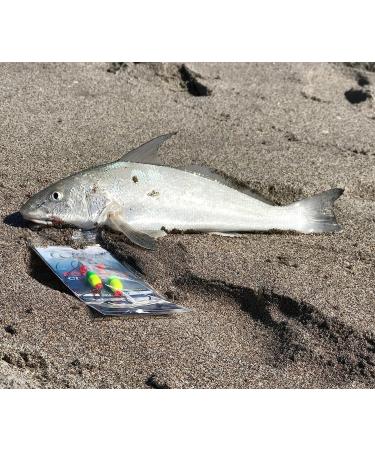 Tackles Crafter Pompano Elite 6 - Premium Fishing Tackle for Elite Anglers - Buy Online on GoSupps.com