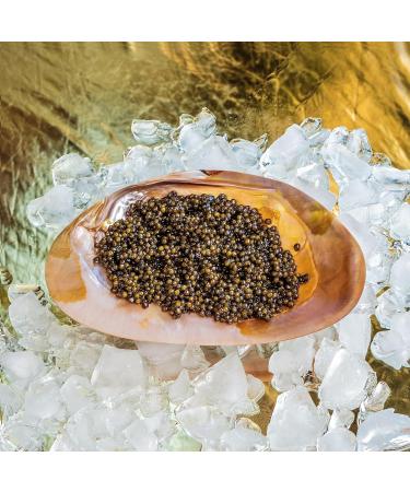 Oscietra/Asetra Caviar 250 gr - Buy Online on GoSupps.com