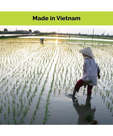 Brown Rice Noodles with Green Tea - Non-GMO Ramen Alternative for Pad Thai - 12 Servings by Star Anise Foods - Buy Online on GoSupps.com