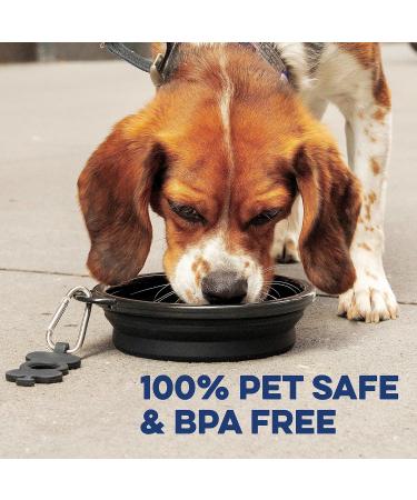 Bonza Large Foldable Dog Bowl 1000 ml - Reinforced Edge Carabiner & Water Bottle Holder - Portable Light Gray Pet Accessory for Travel - Buy Online on GoSupps.com
