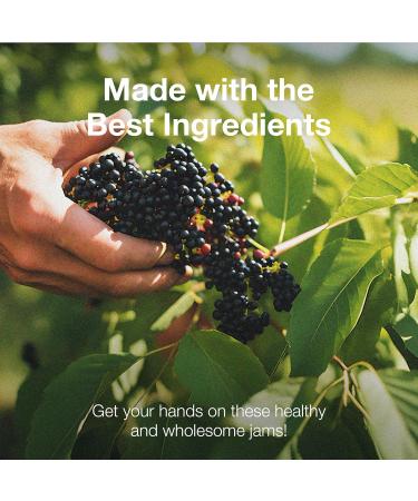 NutroGusto Jams Fruit Preserve Spread 290 g (Elderberry) - Buy Online on GoSupps.com