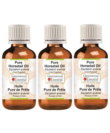 Greenwood Essential Pure Horsetail Oil (Equisetum arvense) Cold Pressed (Pack of Three) 100ml X 3 (10 oz)