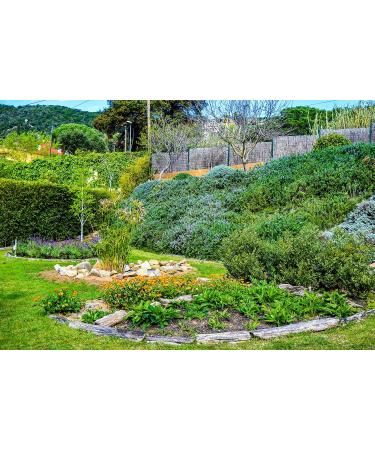 (56.00eur/100 ml) Mediterranean Sea Anti-Aging Night and Eye Cream 50 ml - Buy Online on GoSupps.com