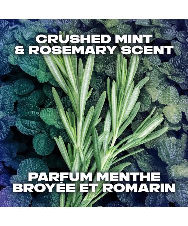 AXE Phoenix Body Wash for a 12H refreshing scent Crushed Mint & Rosemary men's body wash with 100% plant-based moisturizers 946 ml Phoenix 946 ml (Pack of 1) - Buy Online on GoSupps.com