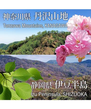 Sakura Cherry Blossom Powder - YAMASAN Japanese Drinks & Food, Spring Mix 1.4oz (40g) - Buy Online on GoSupps.com