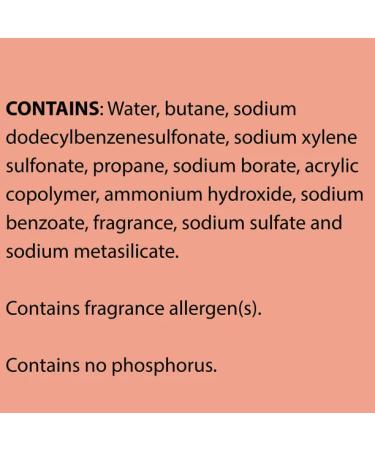 Formula 409 Carpet Cleaner Aerosol 22oz | Powerful Stain Remover - Buy Online on GoSupps.com