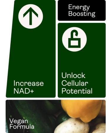 NMN Supplement - 60 Capsules - Buy Online on GoSupps.com