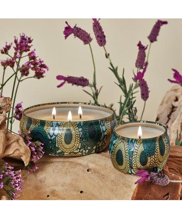 Shop VOLUSPA French Cade & Lavender Home Diffuser - 3.4 oz/ 100 mL Online - Best Price & International Shipping - Buy Online on GoSupps.com