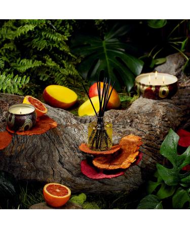 Shop VOLUSPA Goji & Tarocco Orange Home Diffuser - 3.4 oz/ 100 mL Online - Best Price & International Shipping - Buy Online on GoSupps.com